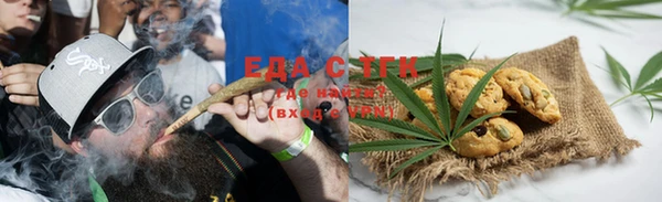 тгк Алзамай