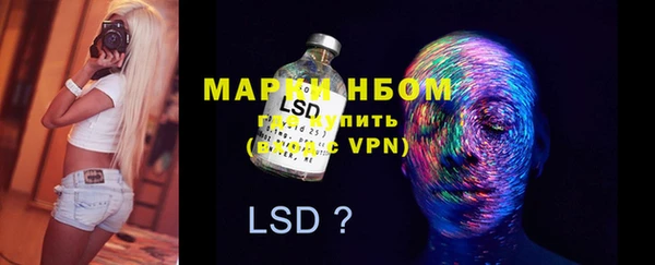 винт Аркадак